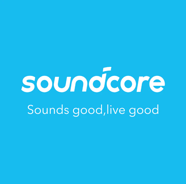 Soundcore (Anker) Compatible Ear Pads